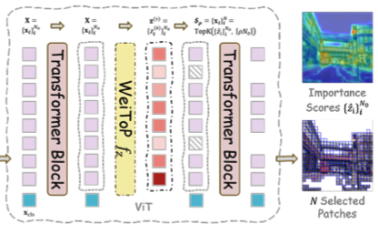 Visual abstract for Faster or Stronger: Towards Flexible Visual Place Recognition via Weighted Aggregation and Token Pruning